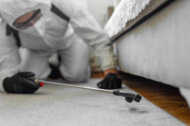 Professional Termite Control technician working in Laramie, WY
