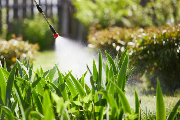24/7 Emergency Termite Control experts in Laramie, WY