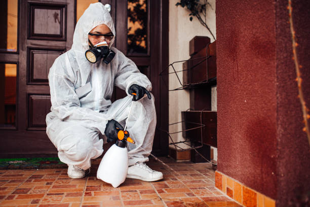 Reliable Termite Control contractor in Laramie, WY by Nex Pest Control